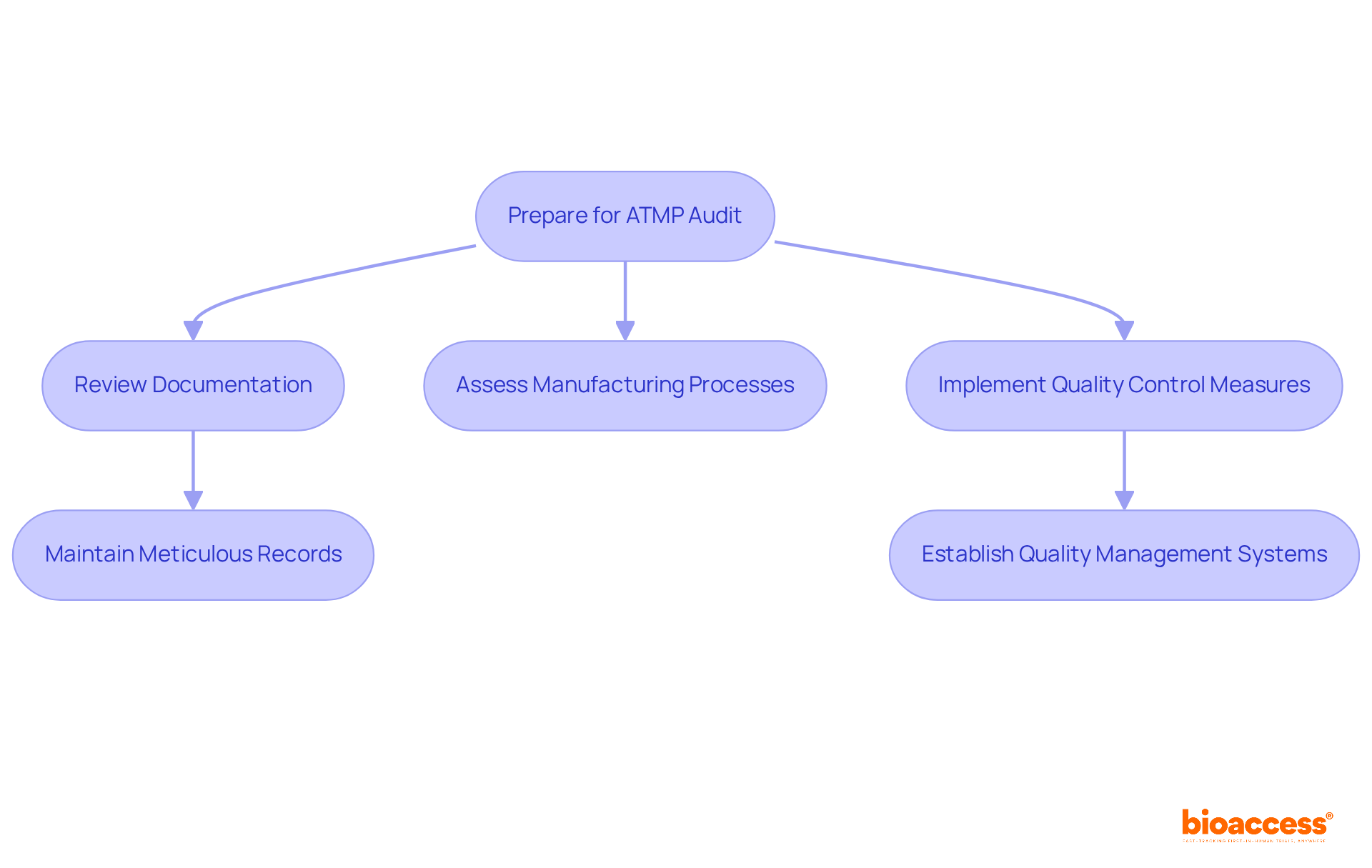 Follow the arrows to see the steps companies need to take for successful audits. Each box represents a key action in the preparation process, ensuring compliance and quality.