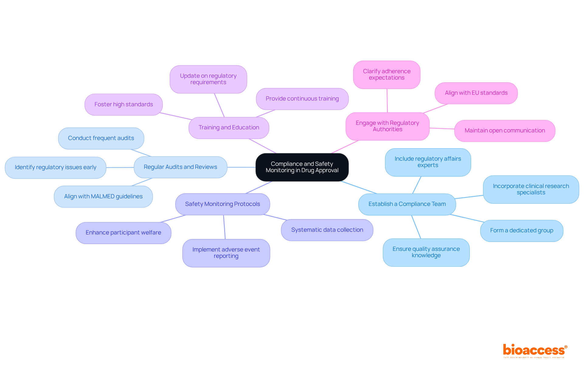 The central node represents the main focus on compliance and safety. Each branch shows a key strategy, and the sub-branches provide additional details or actions related to that strategy. The central node represents the main focus on compliance and safety. Each branch shows a key strategy, and the sub-branches provide additional details or actions related to that strategy.