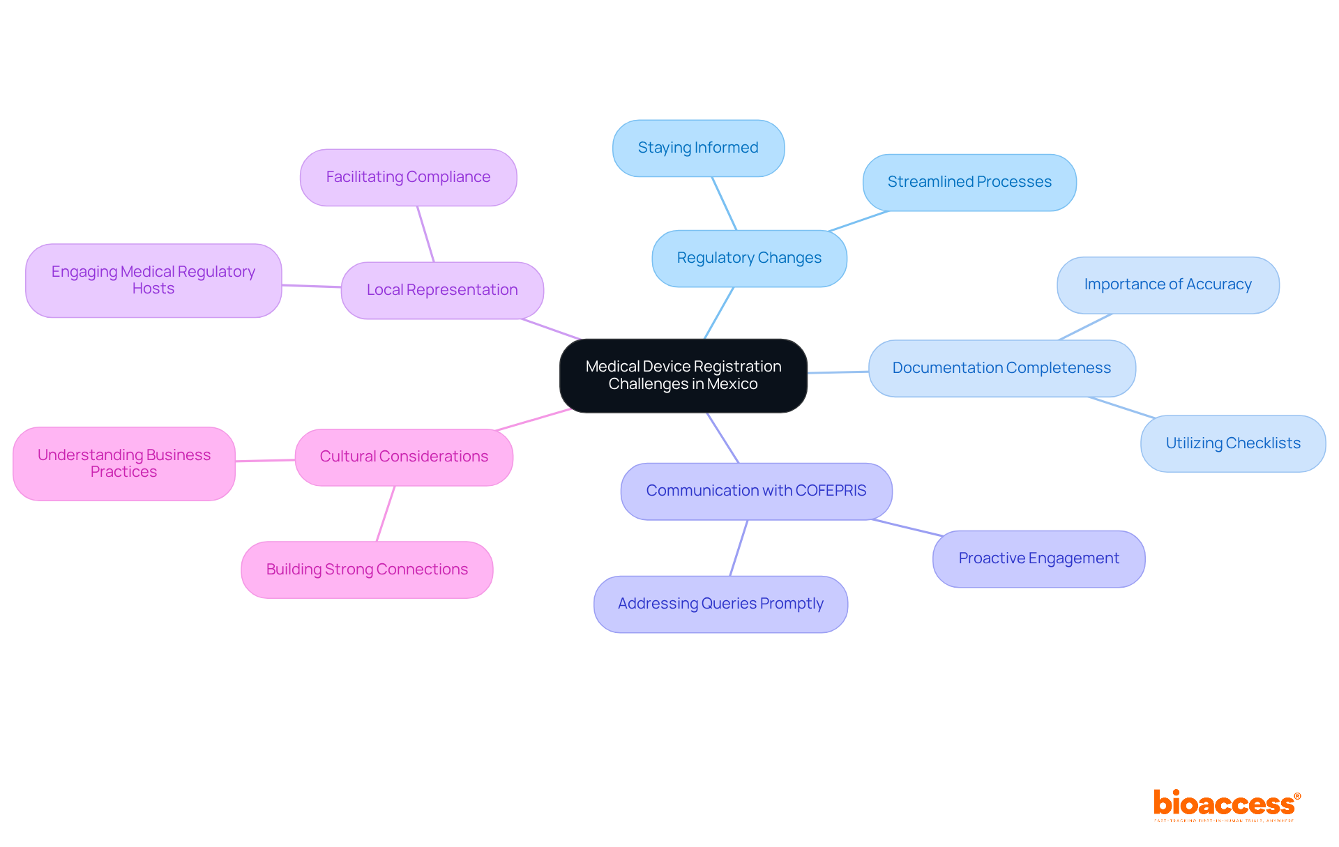The central node represents the main topic, while each branch highlights a specific challenge. Follow the branches to explore each issue and its importance in the registration process.