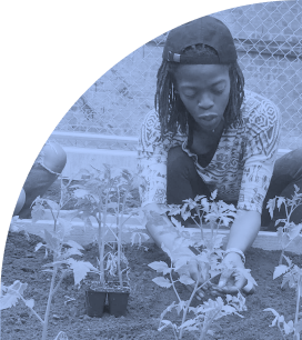 Black woman wearing a cap tending to young plants, representing The Black Feminist Project’s grassroots work in food justice and community care.