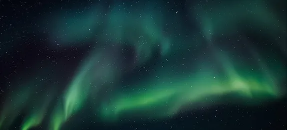 Vibrant green aurora borealis dancing across a pitch-black night sky above a silhouetted forest