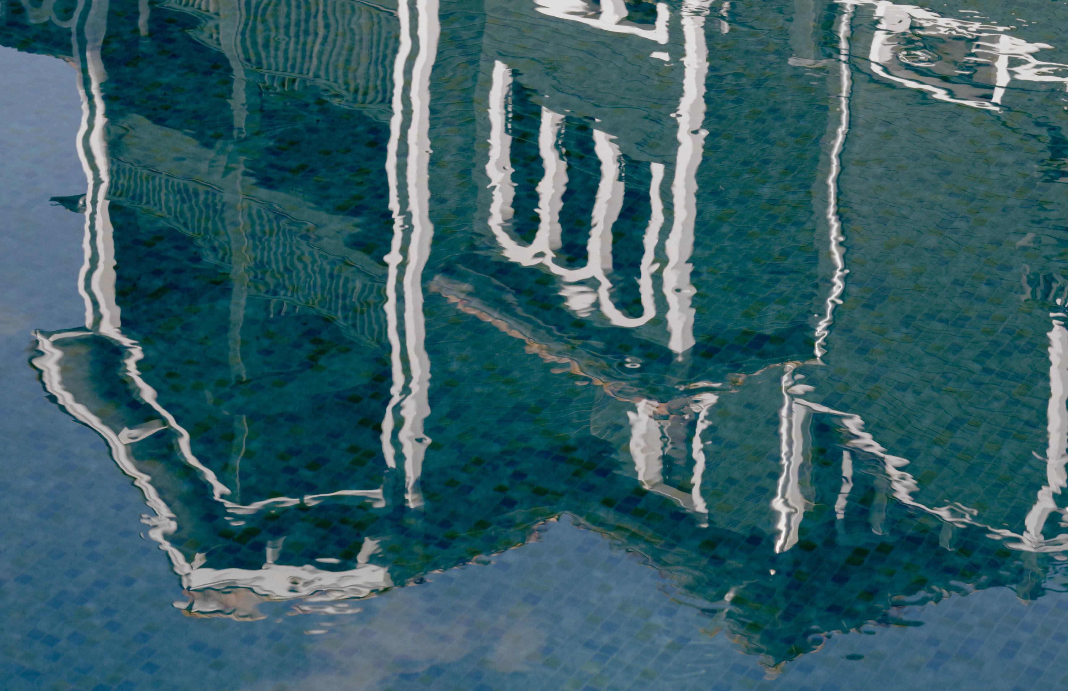 Au cœur de la forêt landaise