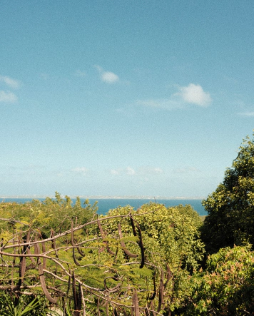 Villa luxe à Anse Marcel, Saint Martin