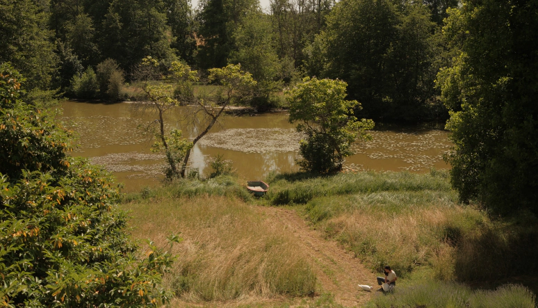 Vue depuis la loggia sur l'étang privé et le parc sauvage de la maison de vacances Le Chant du Champ à Griselles