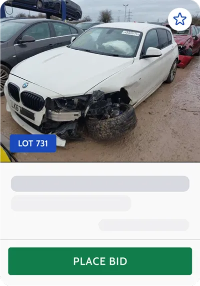 Lot Tile
