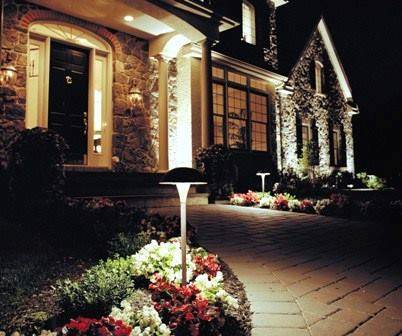 Professional outdoor landscape lighting design with uplighting on trees and shrubs