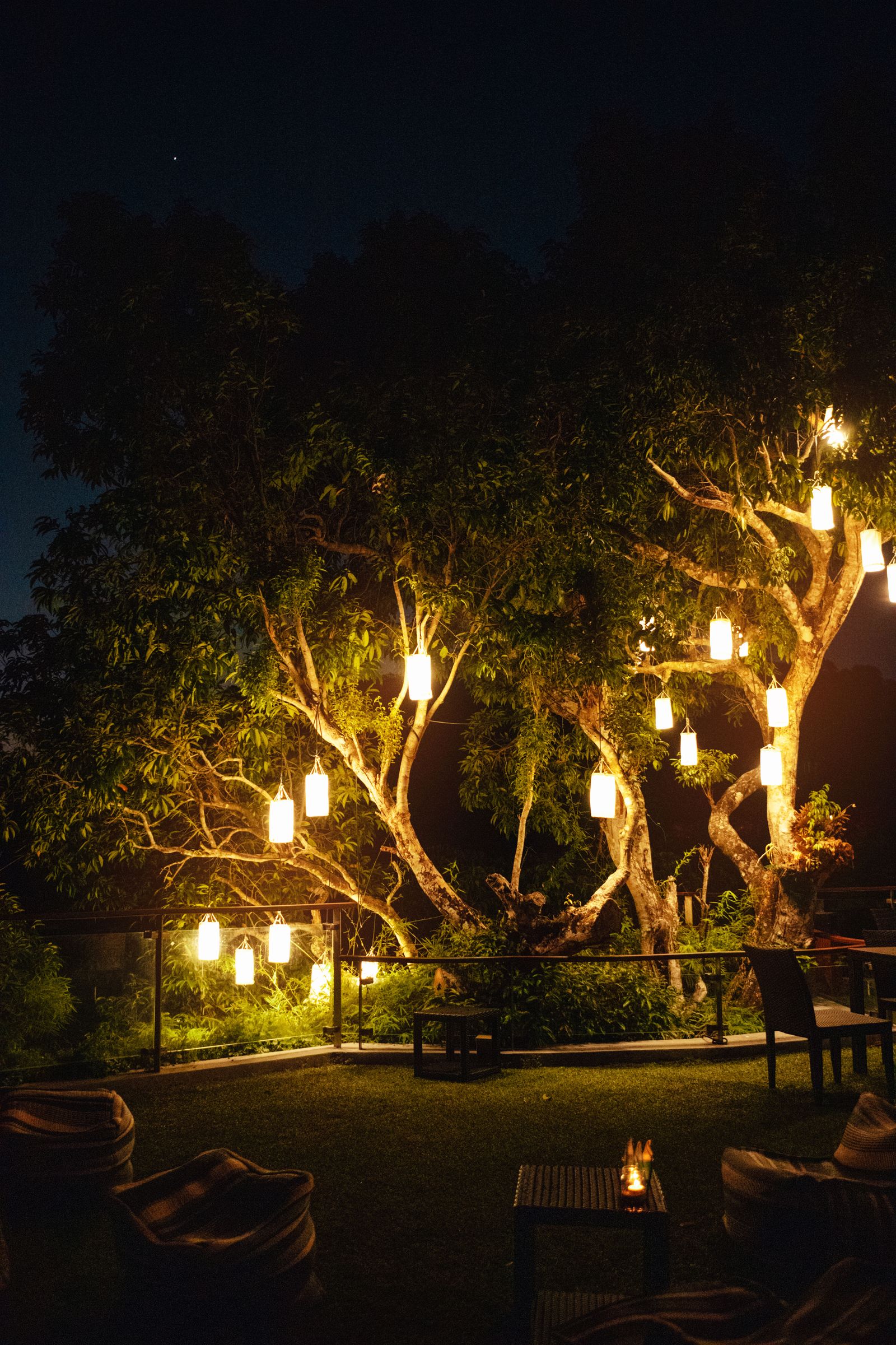 Warm ambient outdoor lighting creating an inviting backyard atmosphere at night