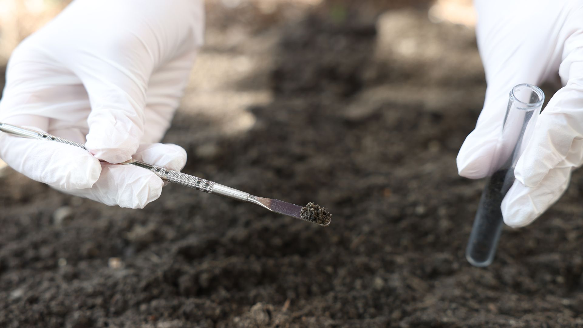 Healthy garden soil being prepared for spring planting in Northern Virginia