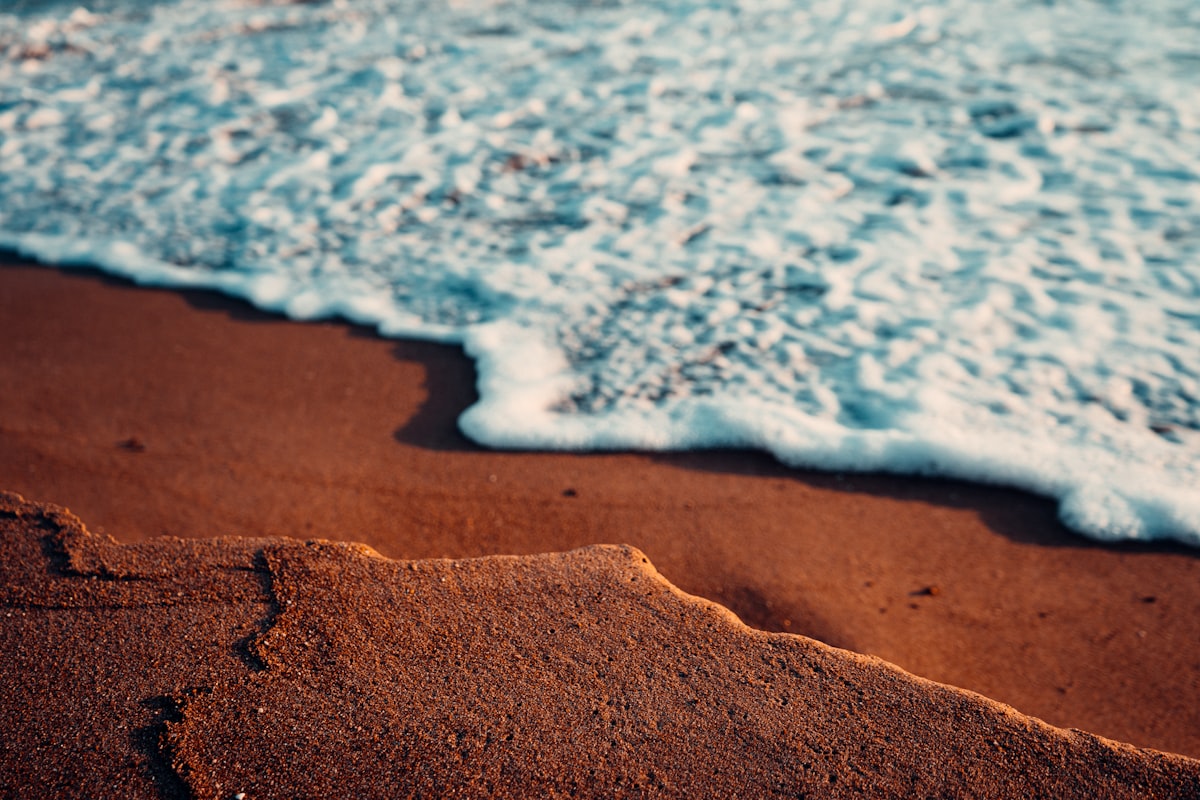 Garden with stone walkway surrounded by lush greenery and plantings