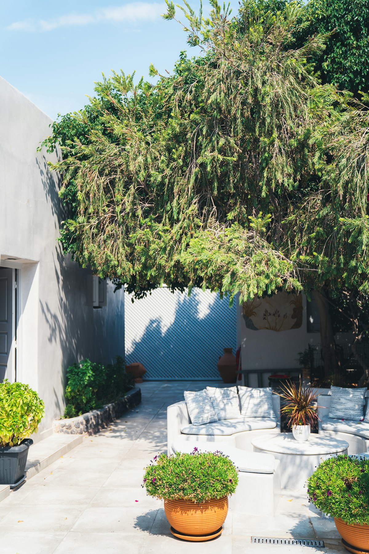 Contemporary patio area with potted plants and a tree in a residential setting