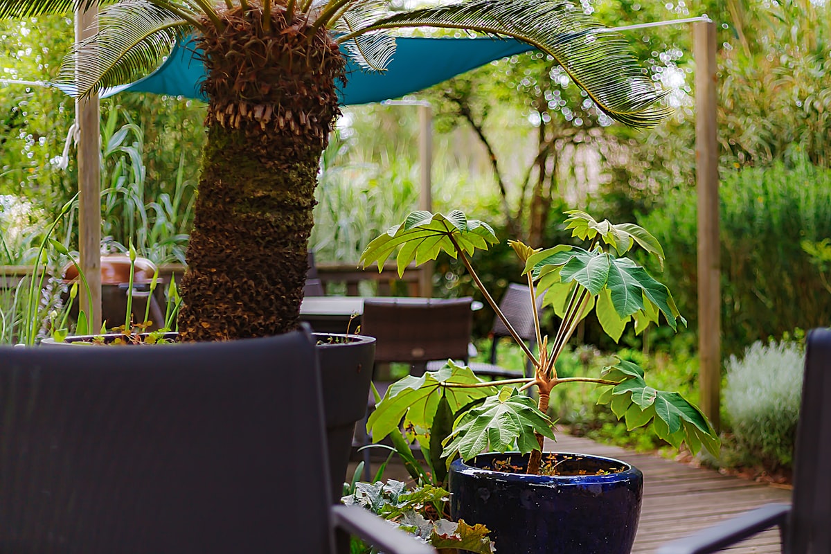 Outdoor seating area surrounded by lush greenery and garden plantings in a backyard landscape design