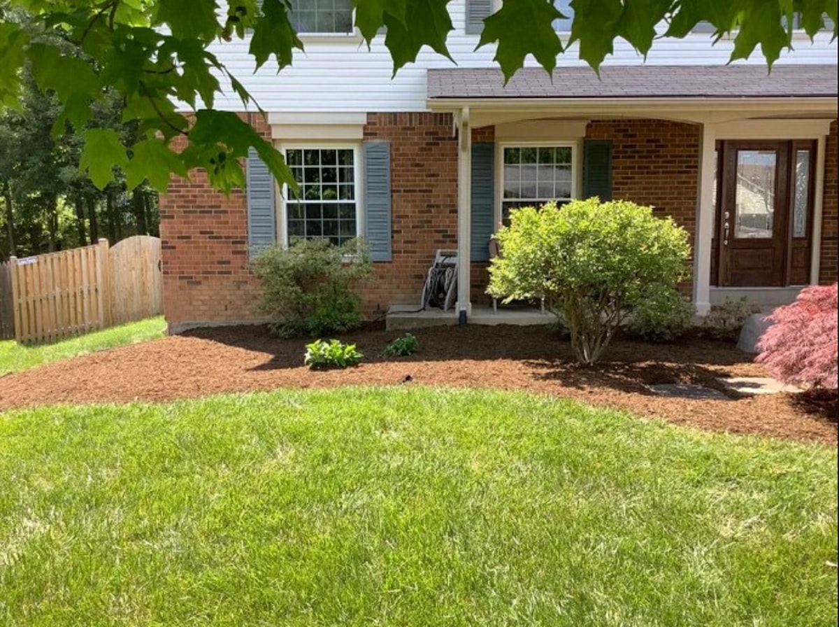 Gardener cutting and trimming bushes with a hedge trimmer