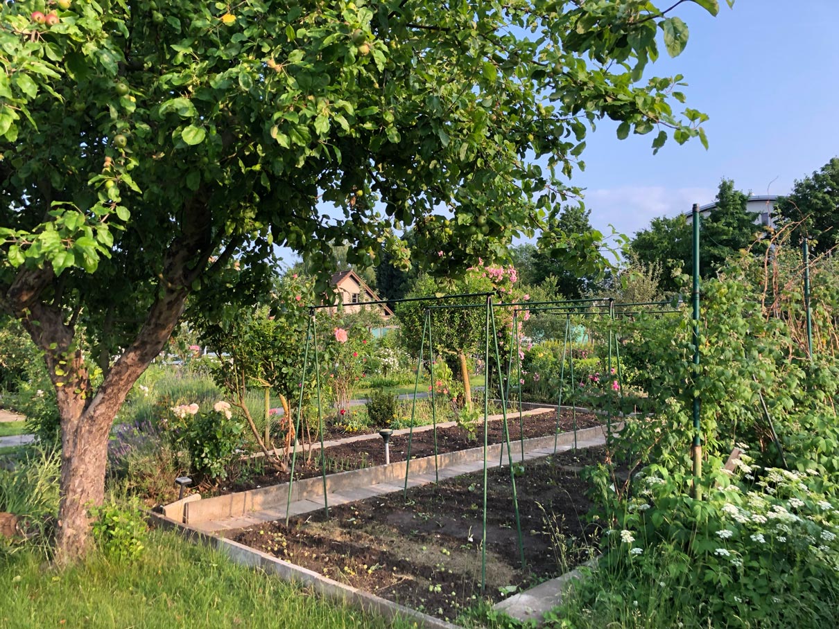Ein Beet in einem Garten, dass vorbereitet ist mit einem Gerüst an dem später Planzen hochwachsen können, im Vorderfgrund ist im Anschnitt ein Apfelbaum zu sehen