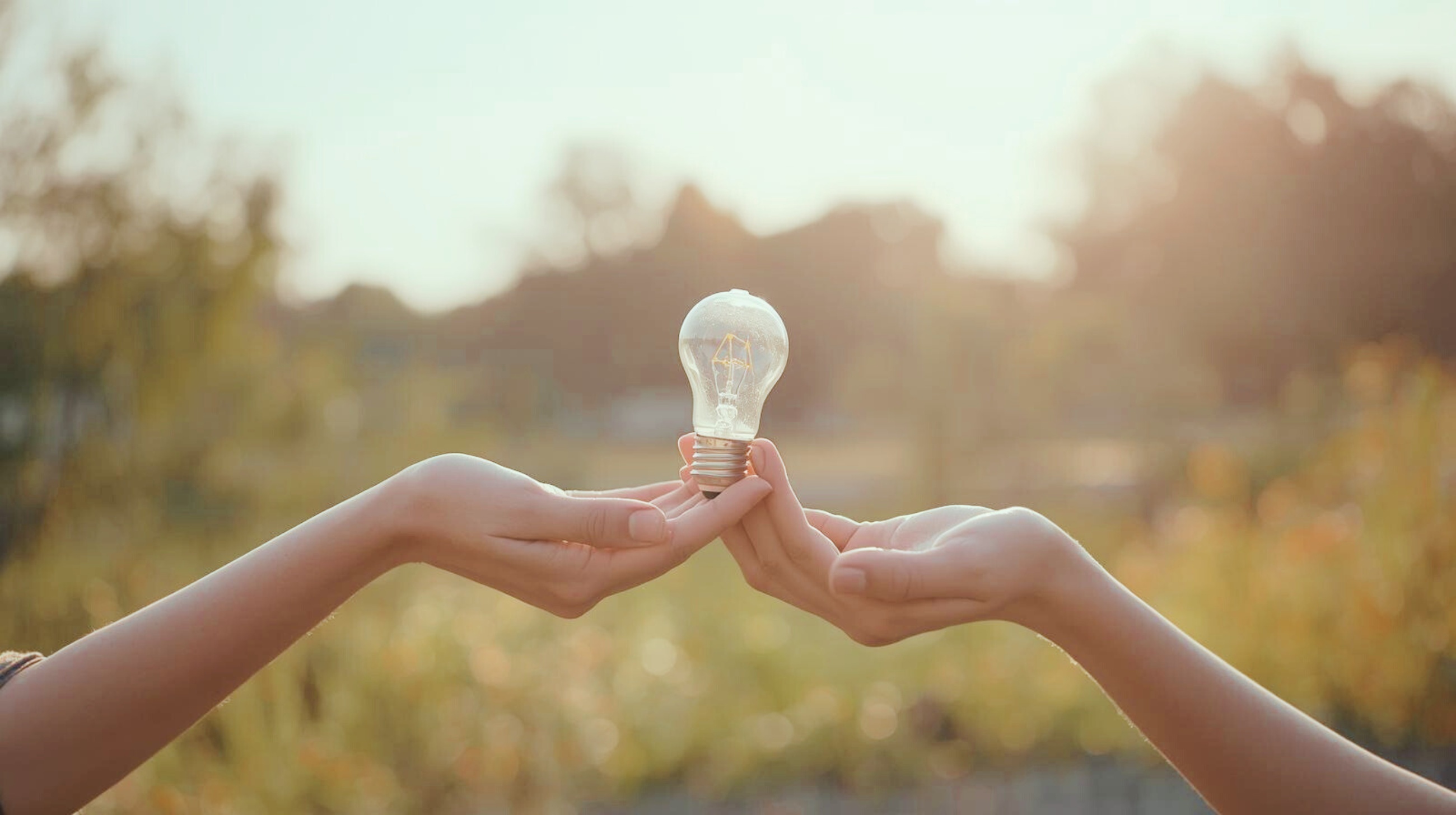 deux mains qui brandissent chacune une ampoule pour symboliser le travail collaboratif