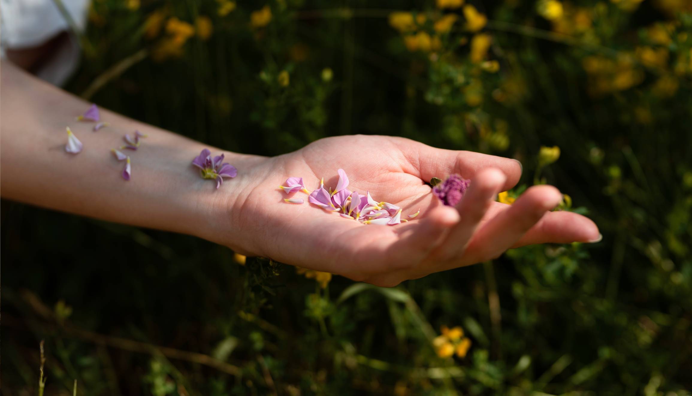 Main ouverte tenant des pétales de fleurs violettes dans une prairie ensoleillée.