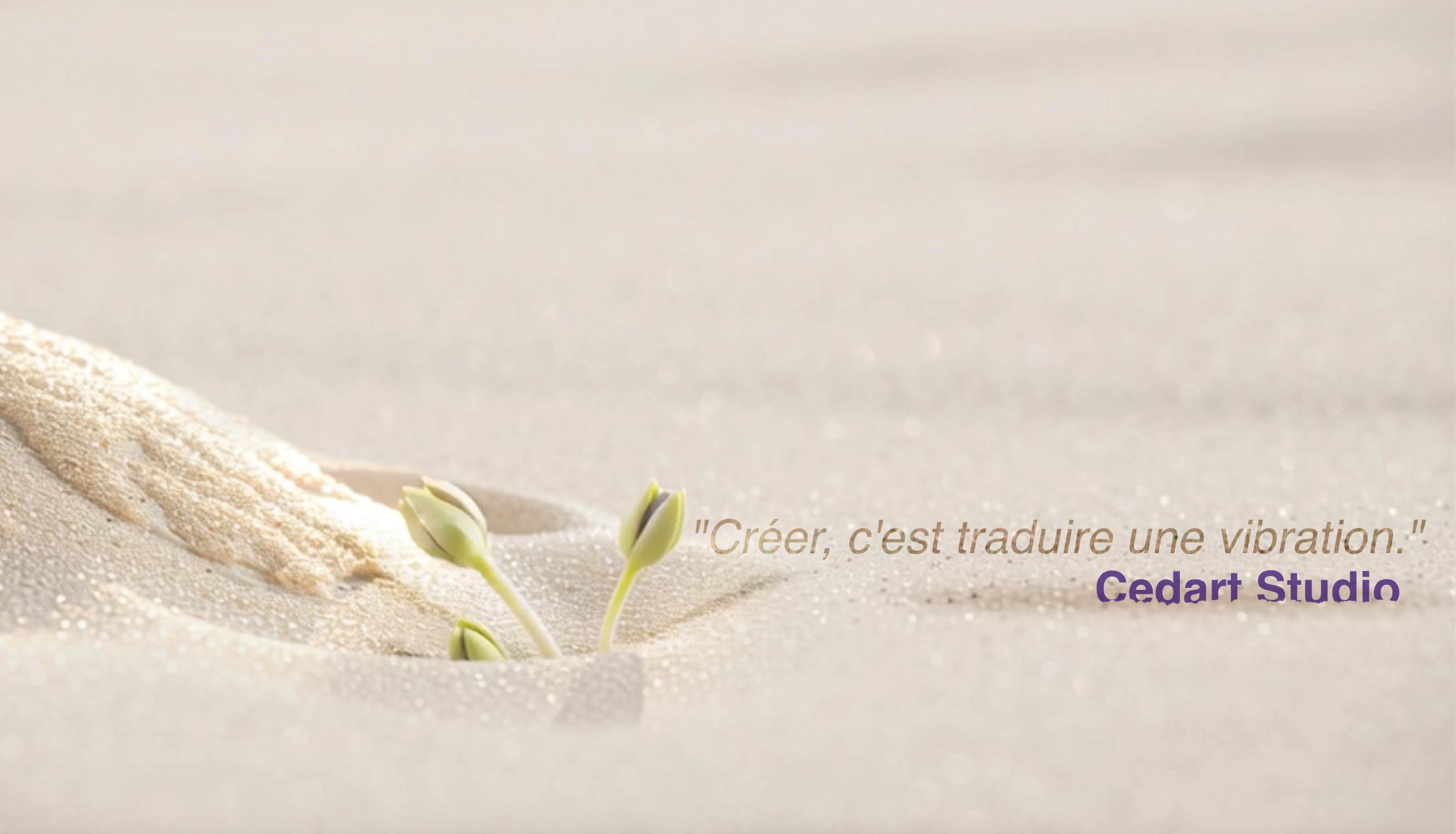 Trois jeunes pousses vertes émergent du sable beige sous une lumière douce, symbolisant l’émergence de soi et la croissance intérieure.