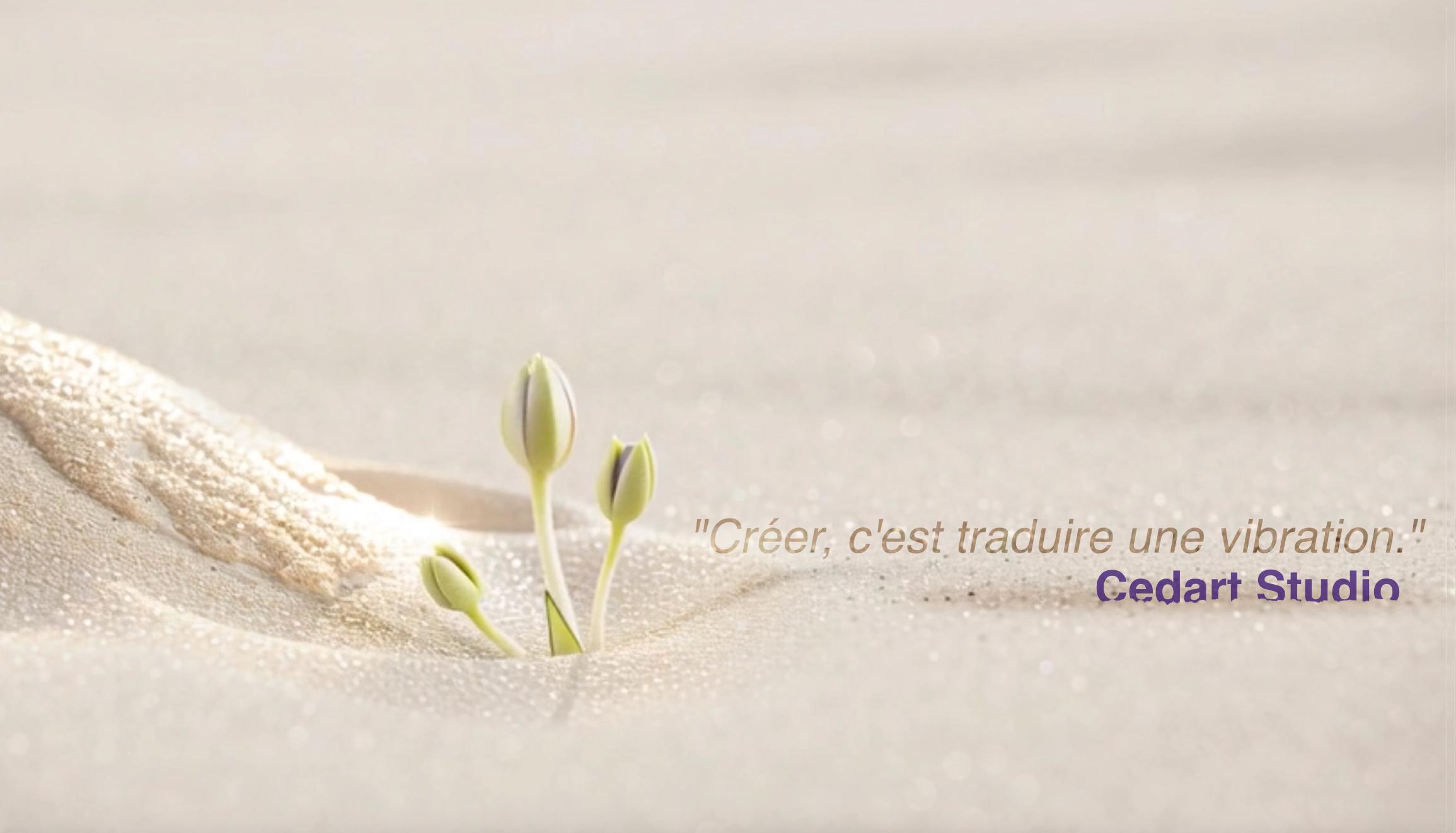 Trois tiges en bouton jaillissant du sable, évoquant une période de transformation intense et la naissance de l’artiste.