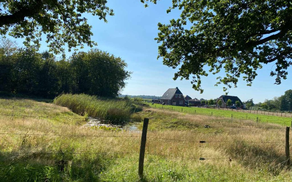 Zomerse landelijke weide met hoog gras, een slootje en afrastering, geflankeerd door eikenloof en op de achtergrond enkele boerderijen onder een helderblauwe lucht.