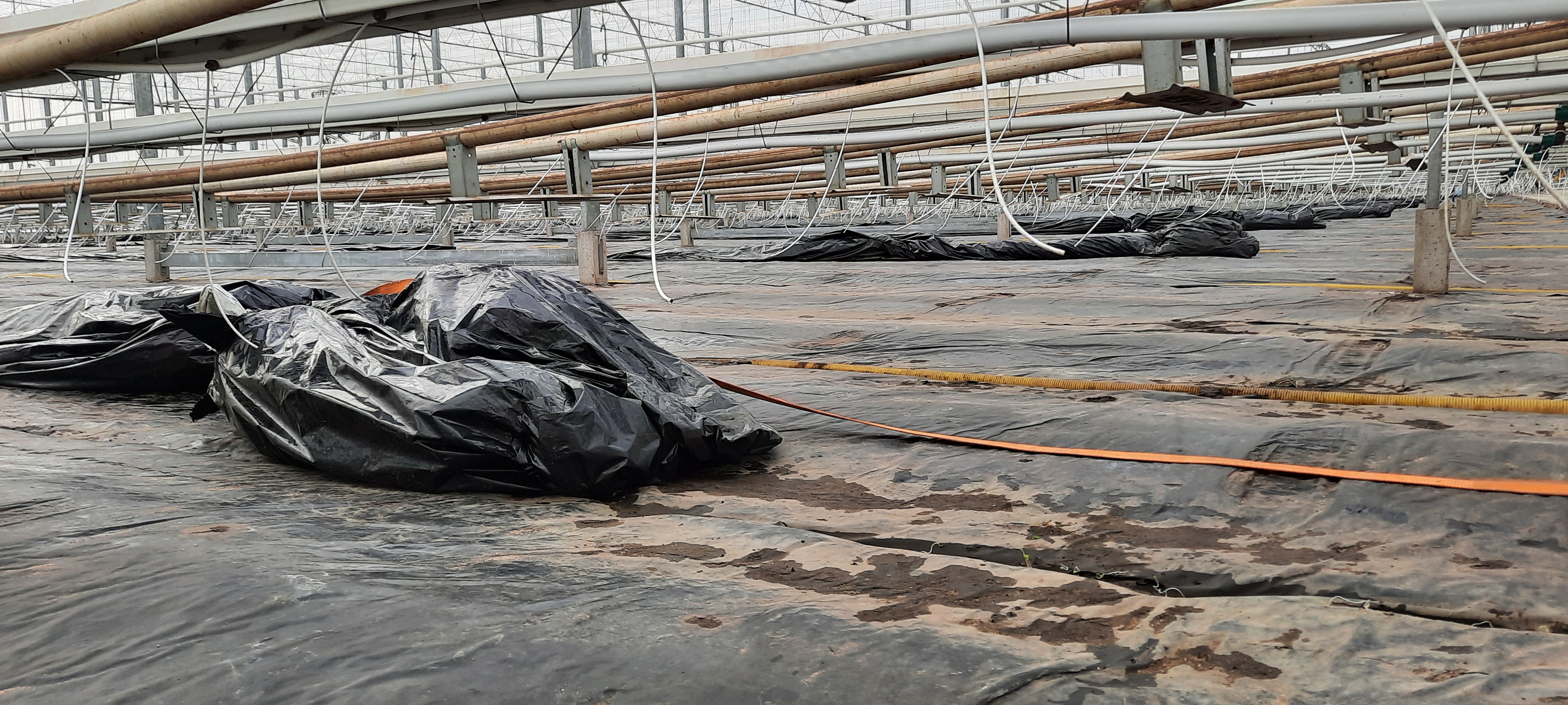 Oprollen van druppelslangen en plastic