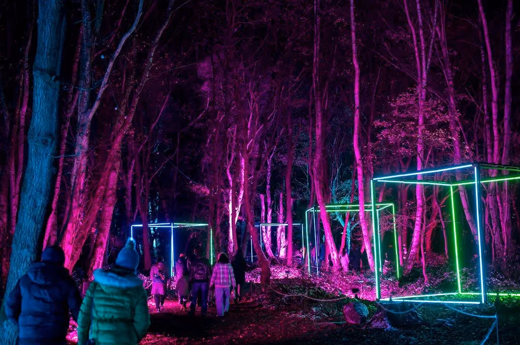 winter light trail