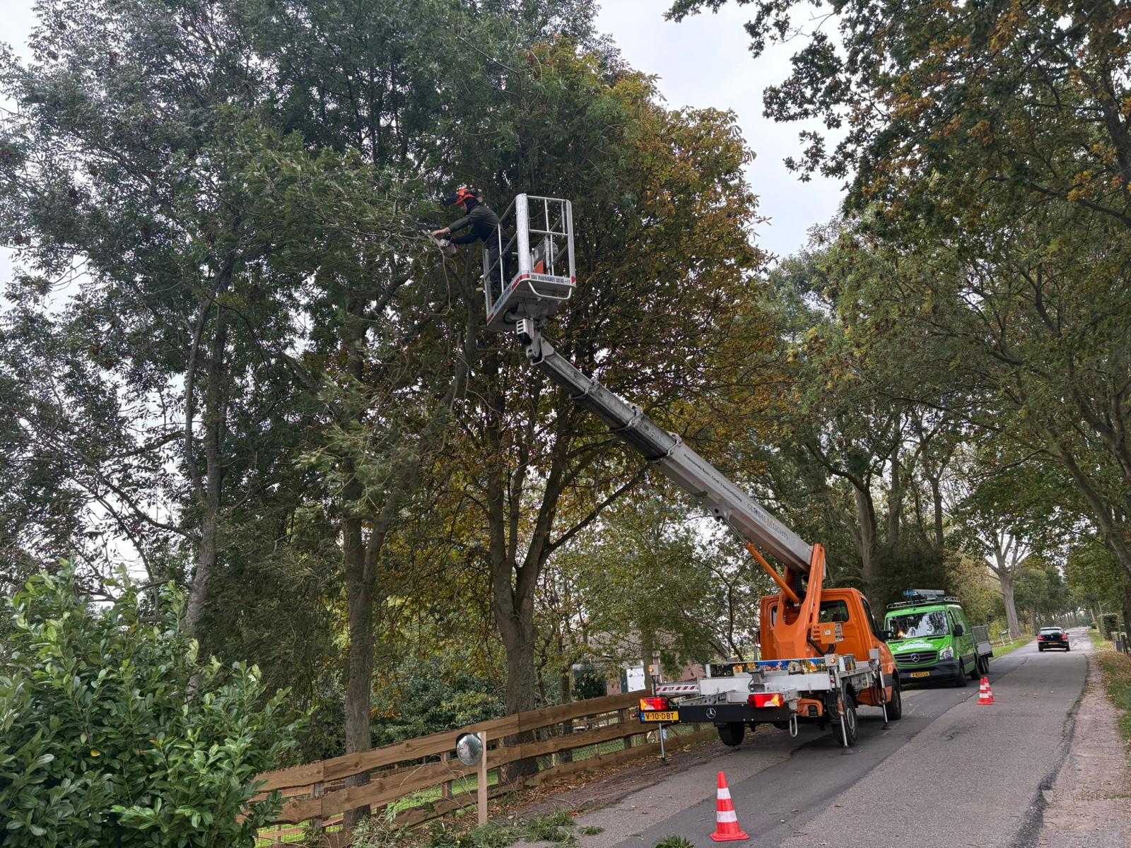 Boom snoeien op hoogwerker