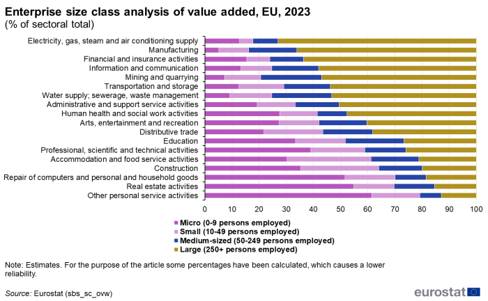 一张 Eurostat 柱状图,分析欧盟各行业不同企业规模带来的增加值,为更广泛的欧洲经济环境和 DAC 报告背景提供参考。