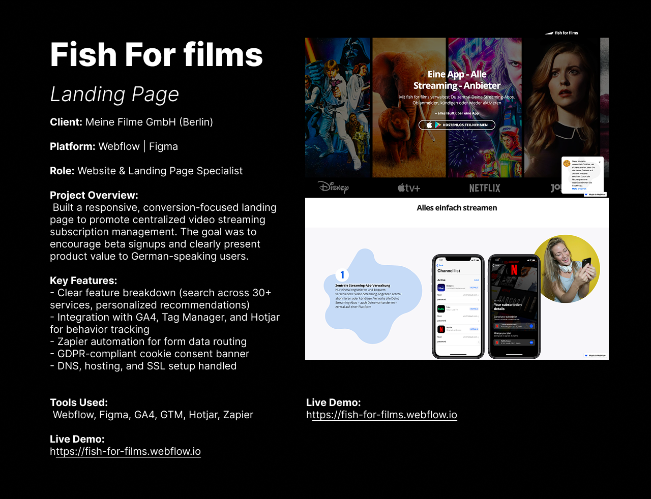 Flowmetrics Project - Landing Page, SEO, Analytics, Marketing Automation