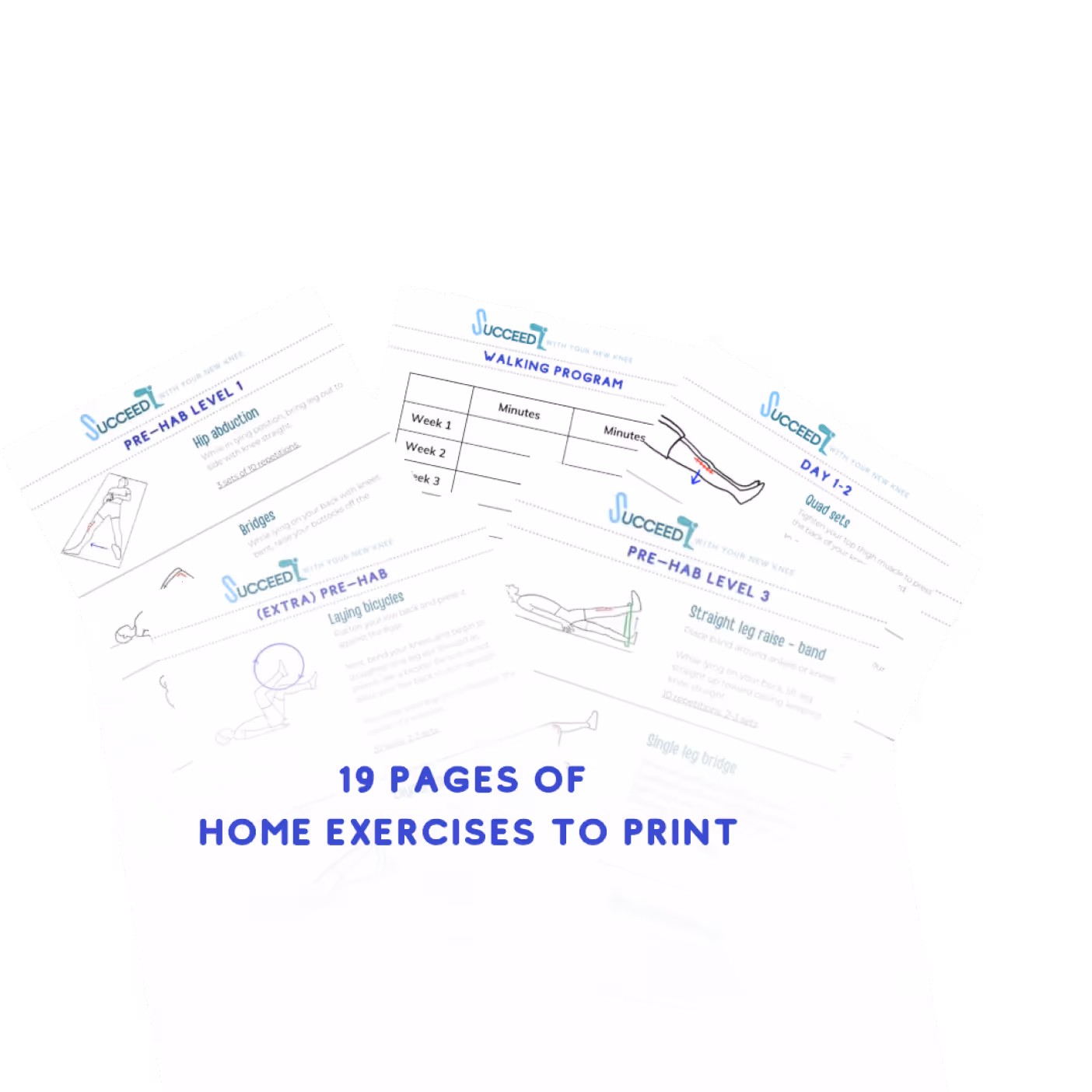 19 pages of pre-hab and walking exercise program documents