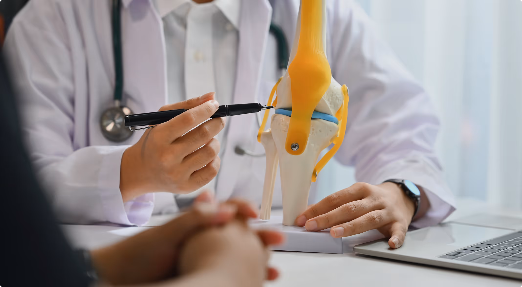 Medical professional examining anatomical knee joint model with pen