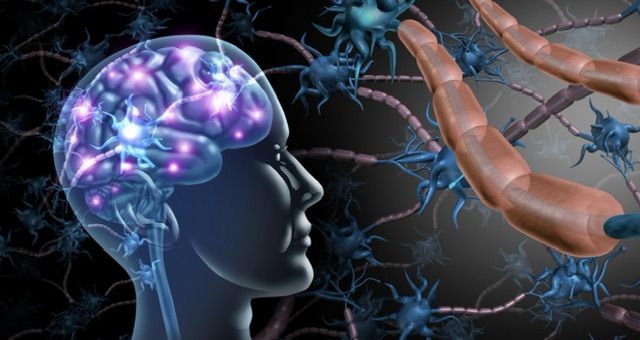Glowing brain and neural network showing neurological connections and activity