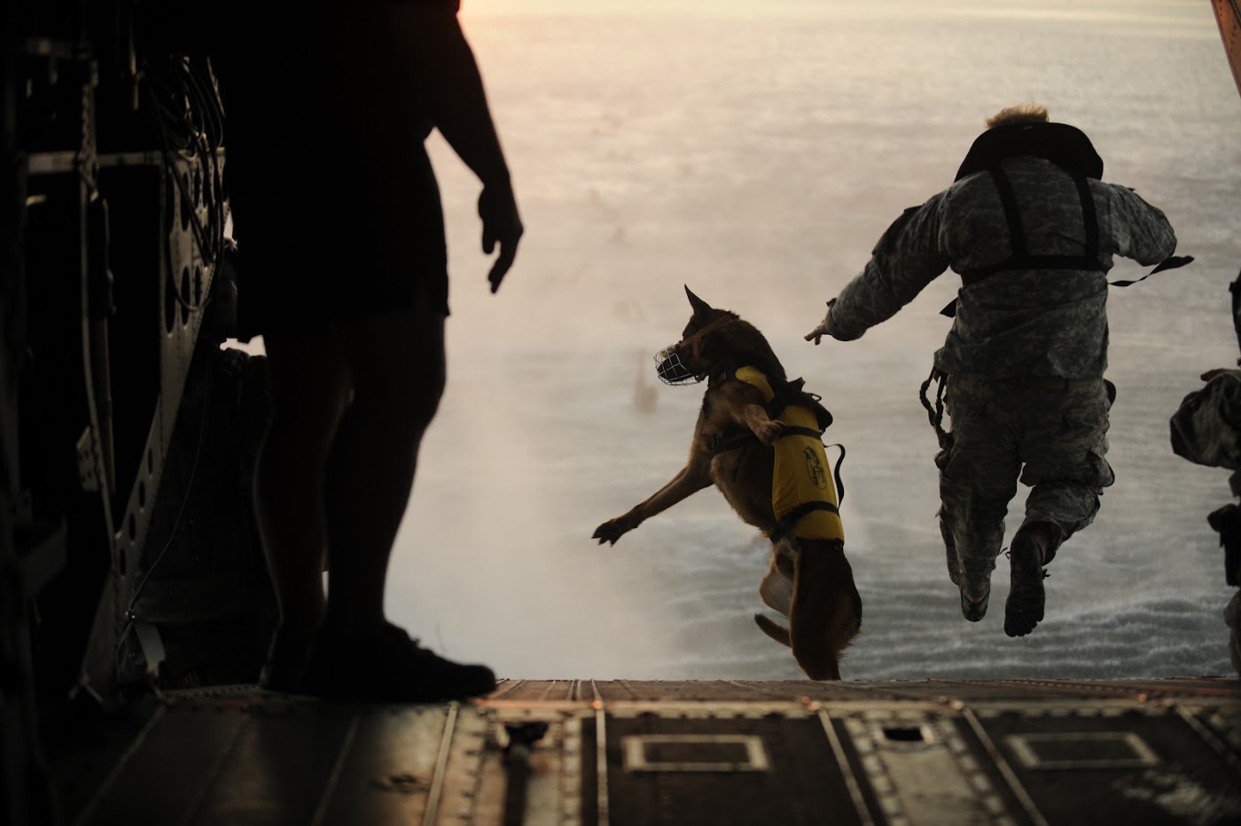 Service member and military working dog moving off an aircraft ramp at dusk
