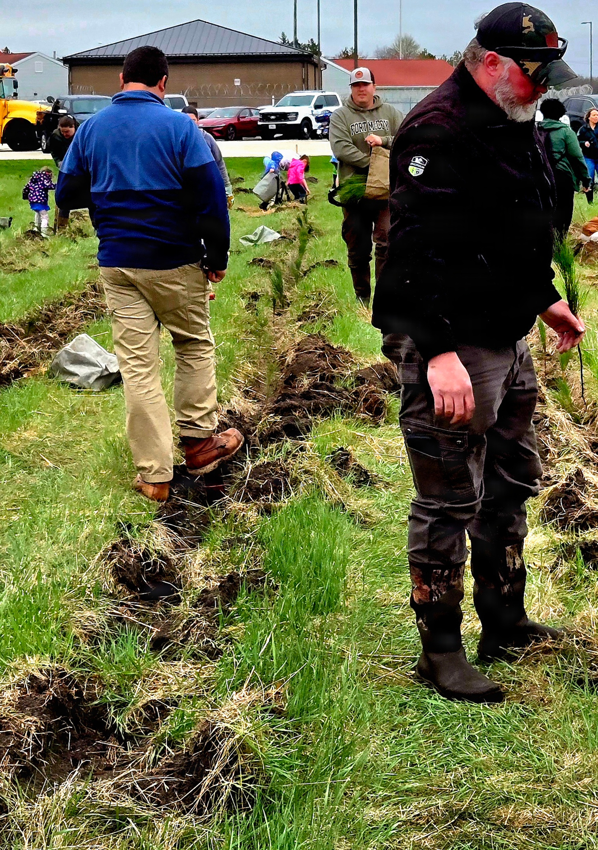 Newly planted tree seedlings at Fort McCoy