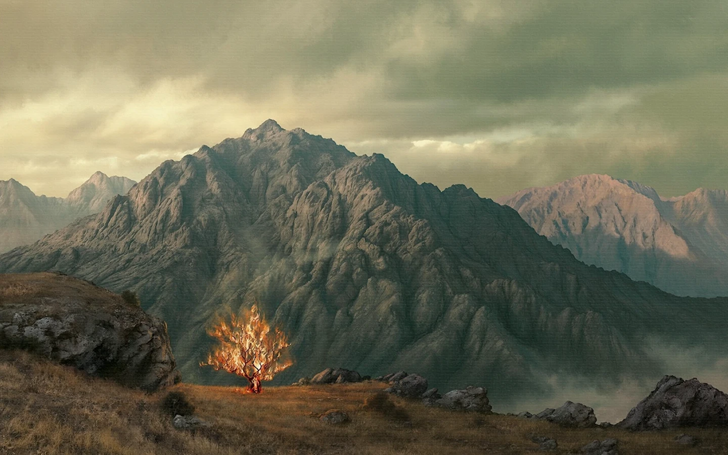 tree burning at the foot of a mountain