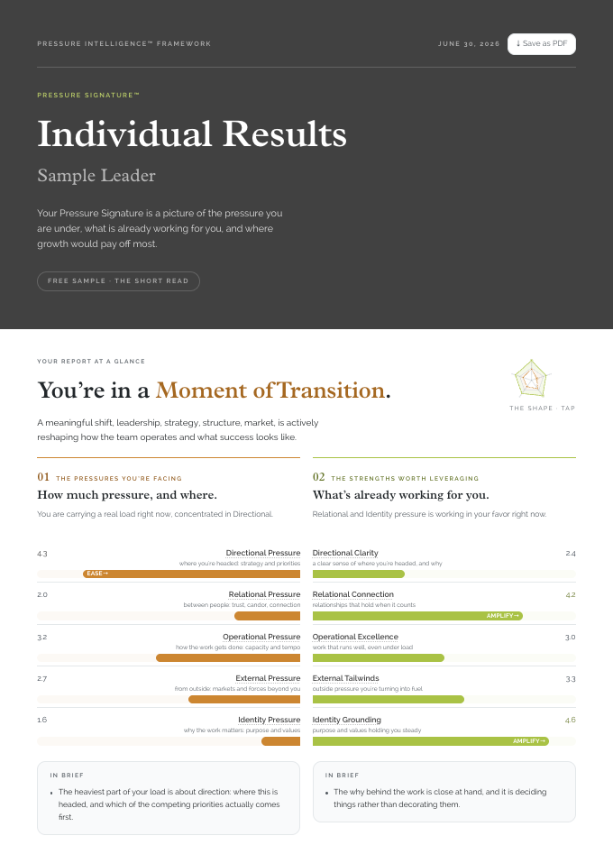Report page showing Individual Results with pressure levels and strengths in categories like Directional and Relational.