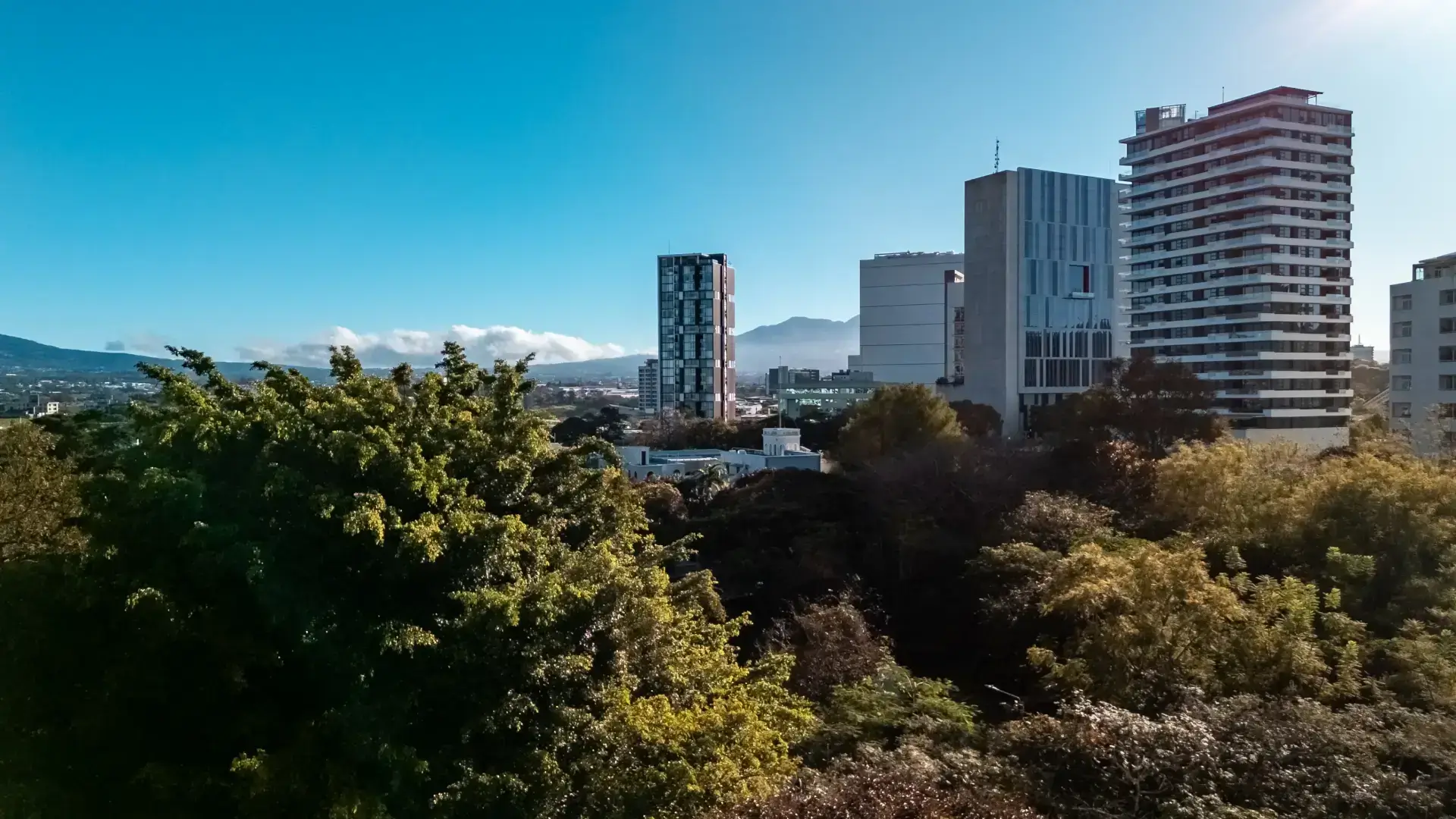 p1-piso-7