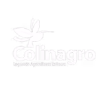 Colinagro is one step ahead in business strategy and smart decisions with r-daniel.