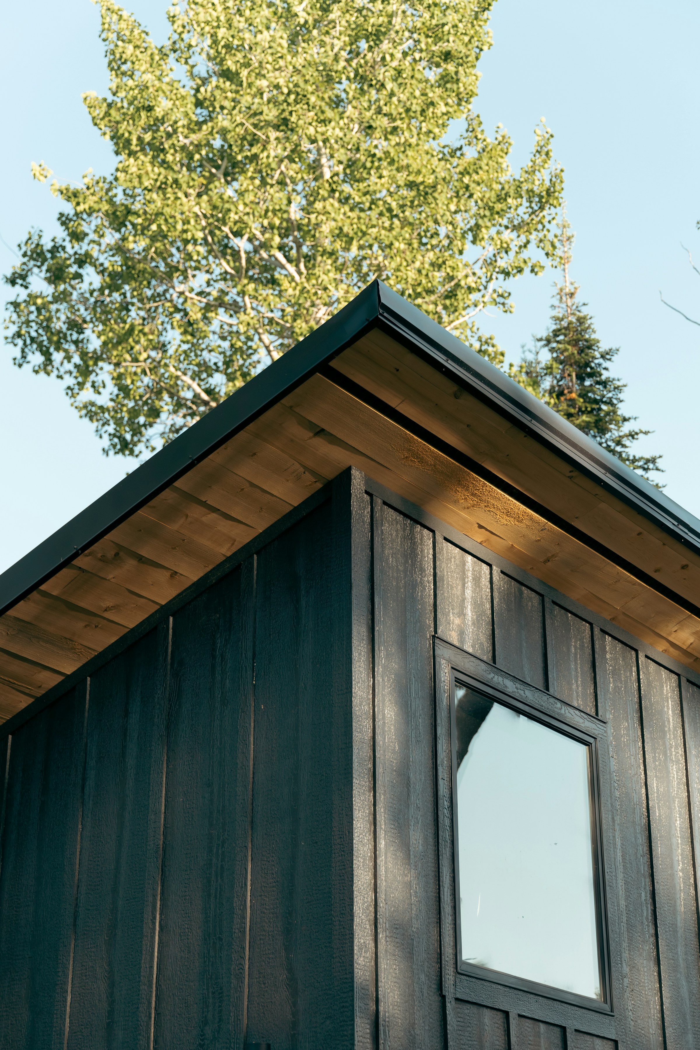 Home addition and detached garage in Eden Utah