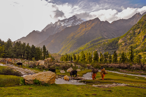Kashmir Itinerary: Best Places to Visit in Kashmir in November