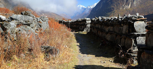 Langtang Valley Trek vs. Everest Base Camp: Which Nepal Trek Is Right for You?