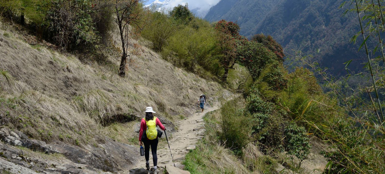 How to Choose the Best Trekking Company: Safety, Legitimacy & Trust