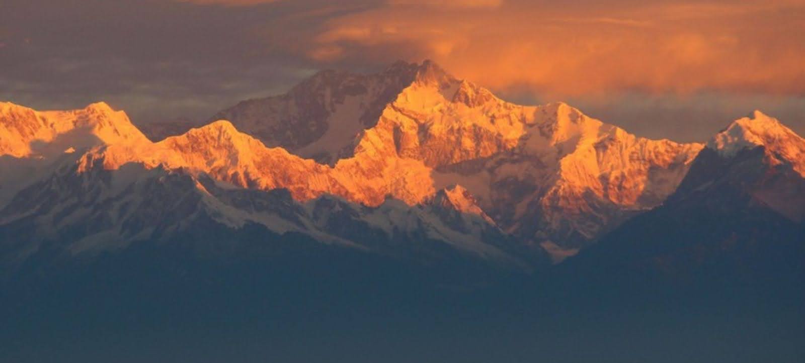 Wildlife and Biodiversity on the Kanchenjunga Trek