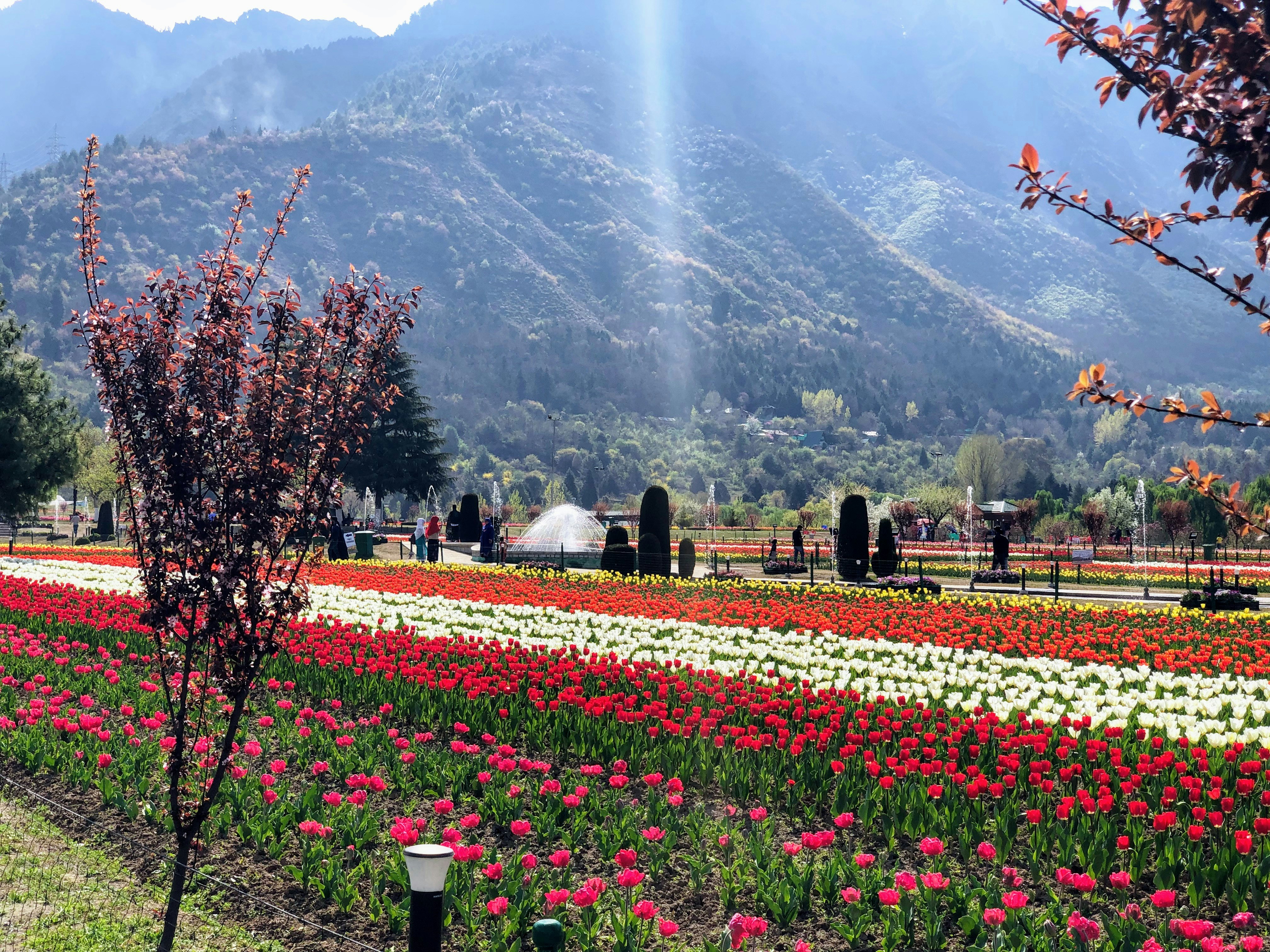 The Kashmir Great Lakes Trek: India's Most Beautiful Walk