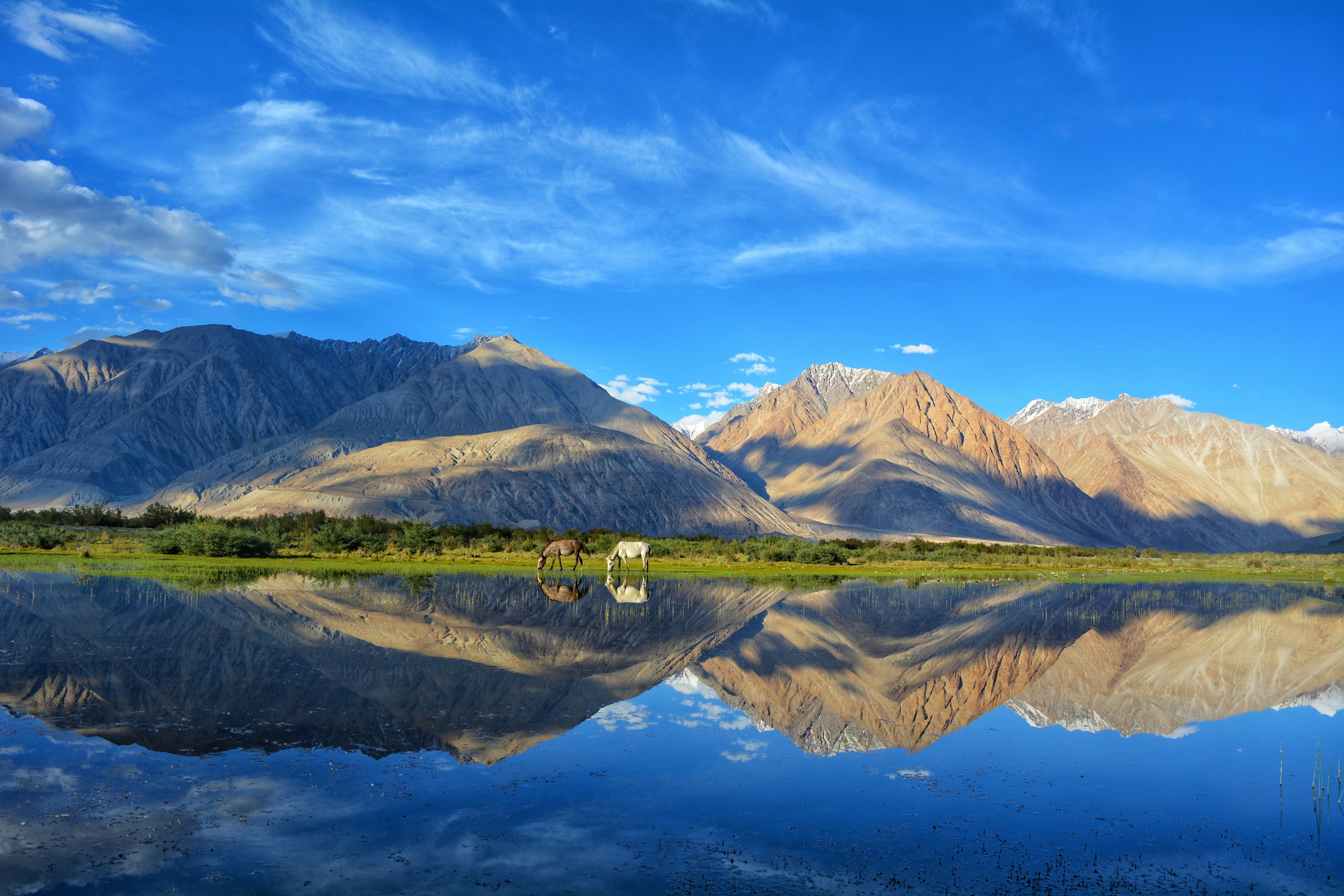 Ladakh Trek Packages: The Complete Guide for Discerning Travellers Introduction