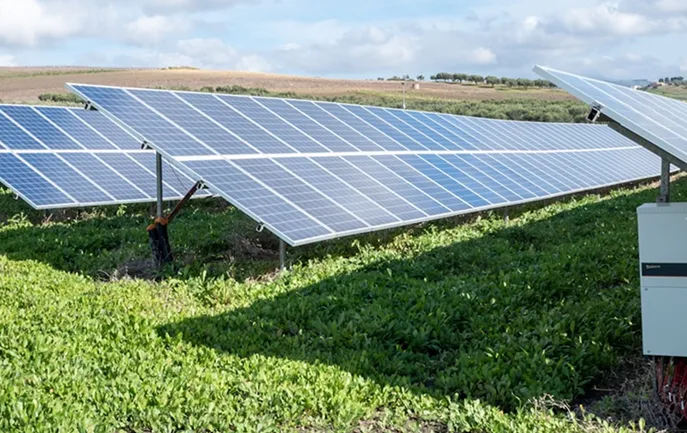 Ein Solarfeld mit mehreren Solarmodulen