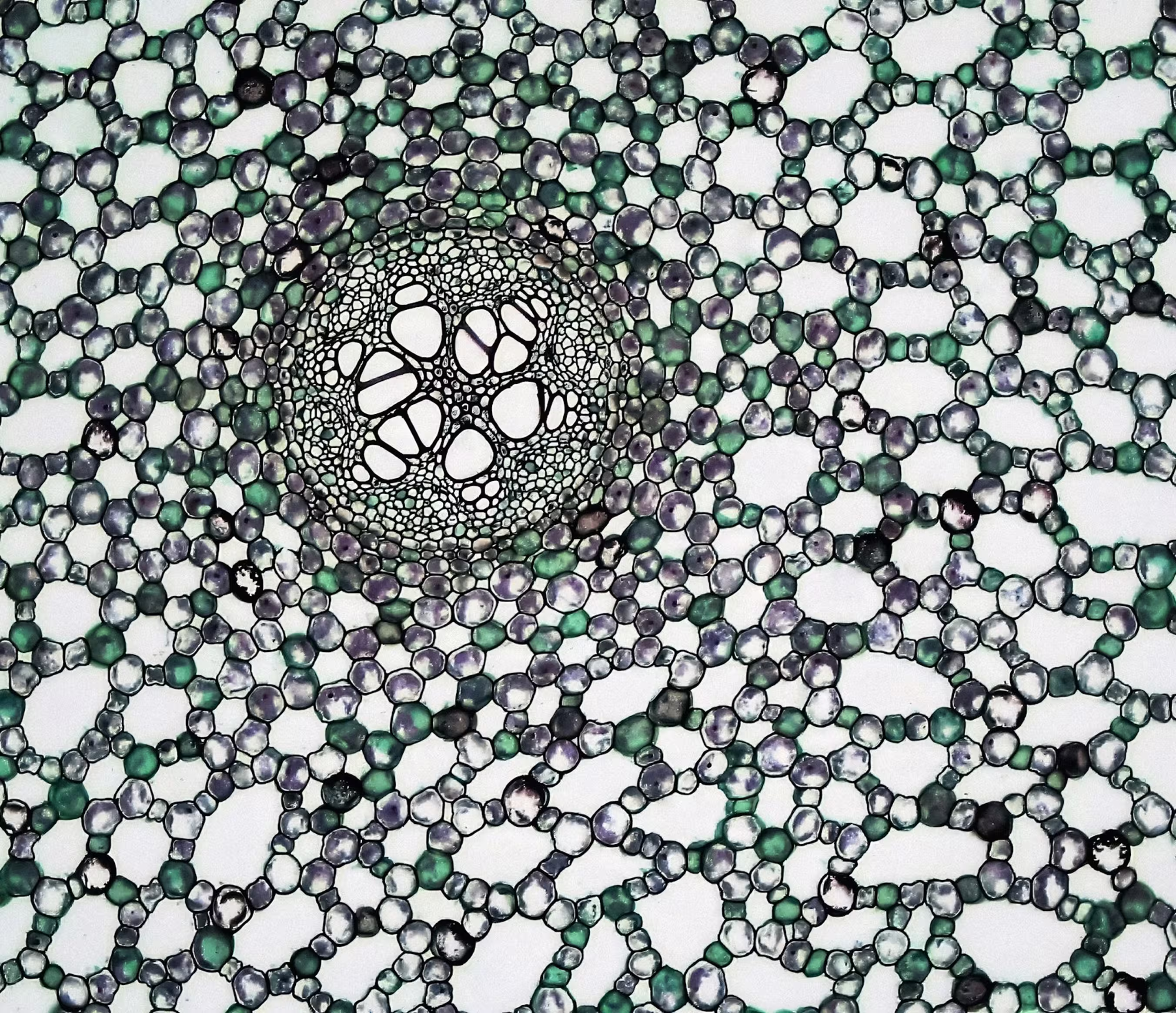 Why Perception Medicine