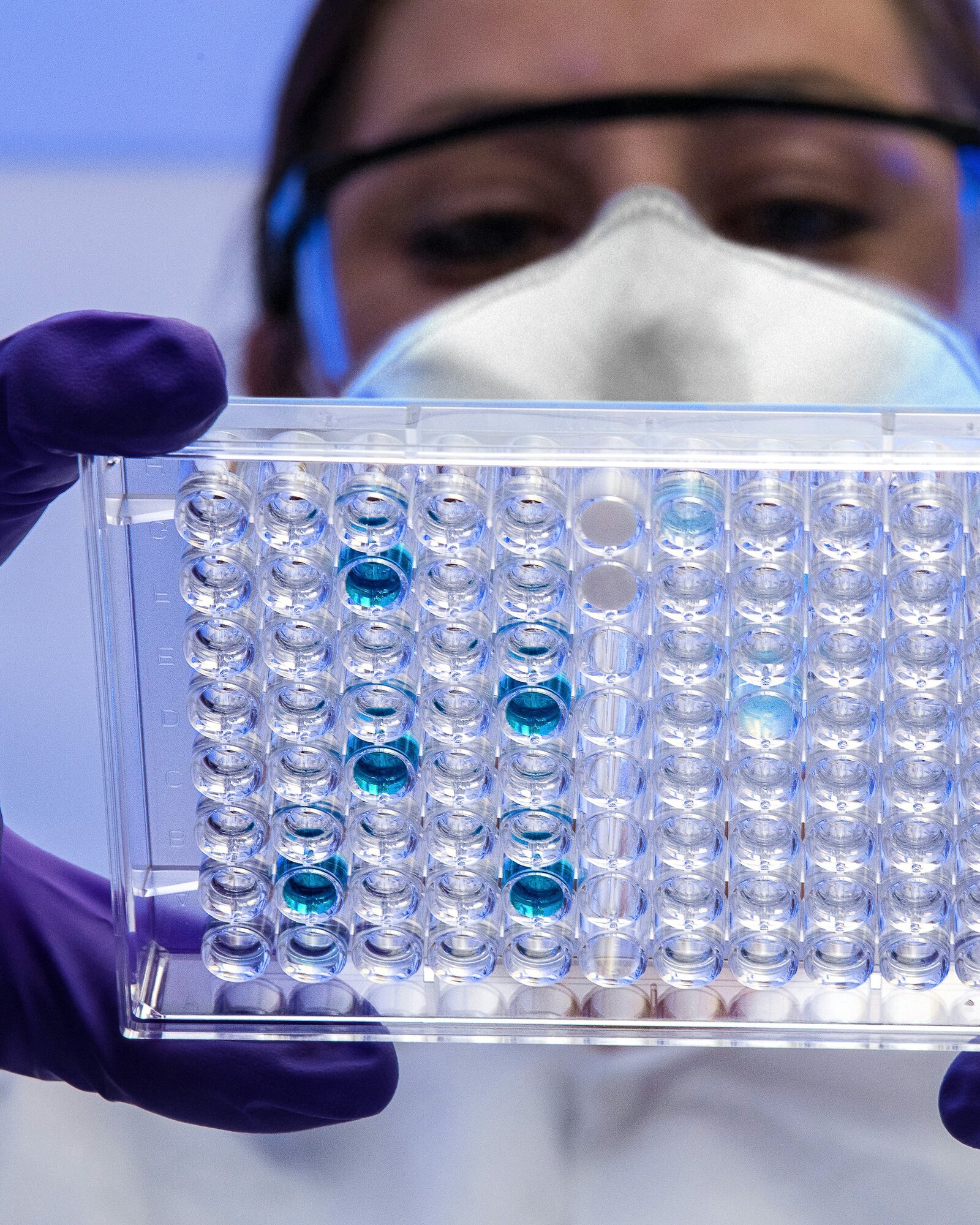 A laboratory analyst holding an assay plate up to the light
