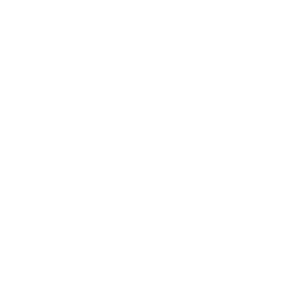 Oil Icon