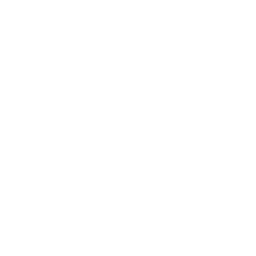 Transmission Icon