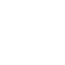 Battery Icon