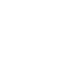 Exhaust Icon
